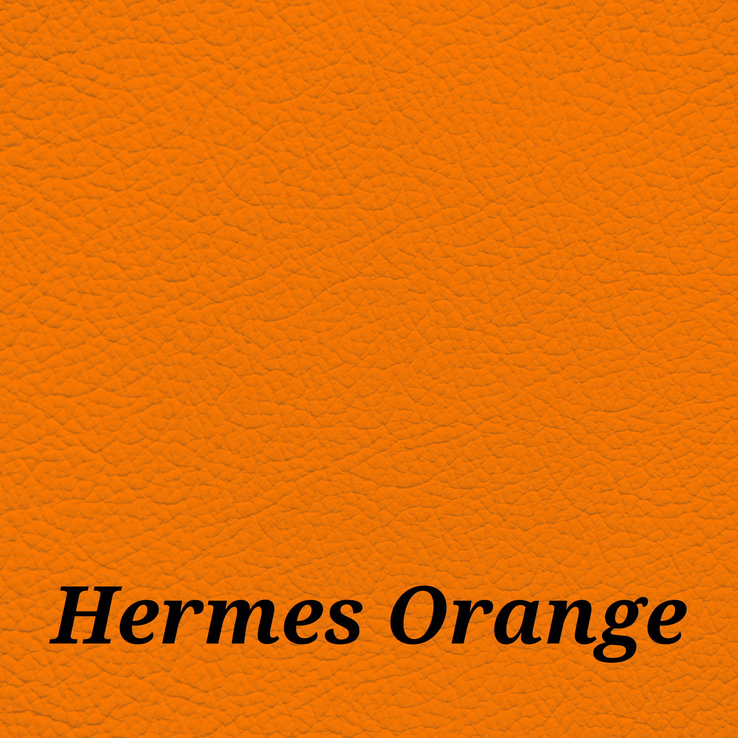 Exotic Leather & Vinyl Dye – Bright Custom Colors